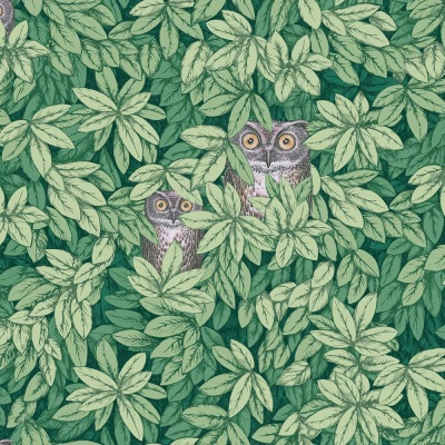 Cole & Son Foglie e Civette Wallpaper in Forest Green